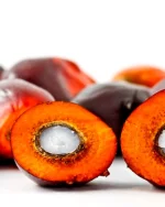 Palm Fruit Oil – RBD