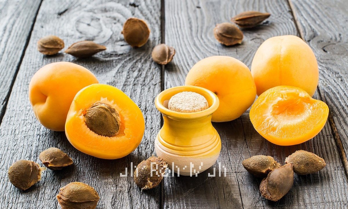 Apricot Kernel Oil (Organic) (Options: 4 fl oz)