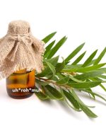 Tea Tree Essential Oil (Organic) (Australia)
