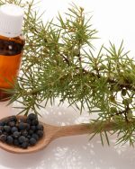 Juniperberry Essential Oil (Organic)