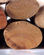 Rosewood Essential Oil (Wild Harvest)